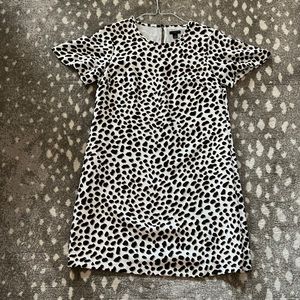 Ann a Taylor Petite Leopard Print Shift dress